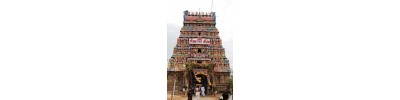124. திருவீழிமிழலை